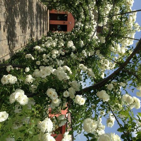 Agriturismo Casale Le Selvette Ripa Ngoại thất bức ảnh