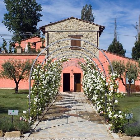 Agriturismo Casale Le Selvette Ripa Ngoại thất bức ảnh