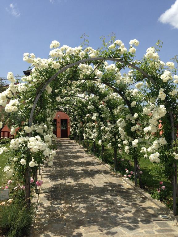 Agriturismo Casale Le Selvette Ripa Ngoại thất bức ảnh