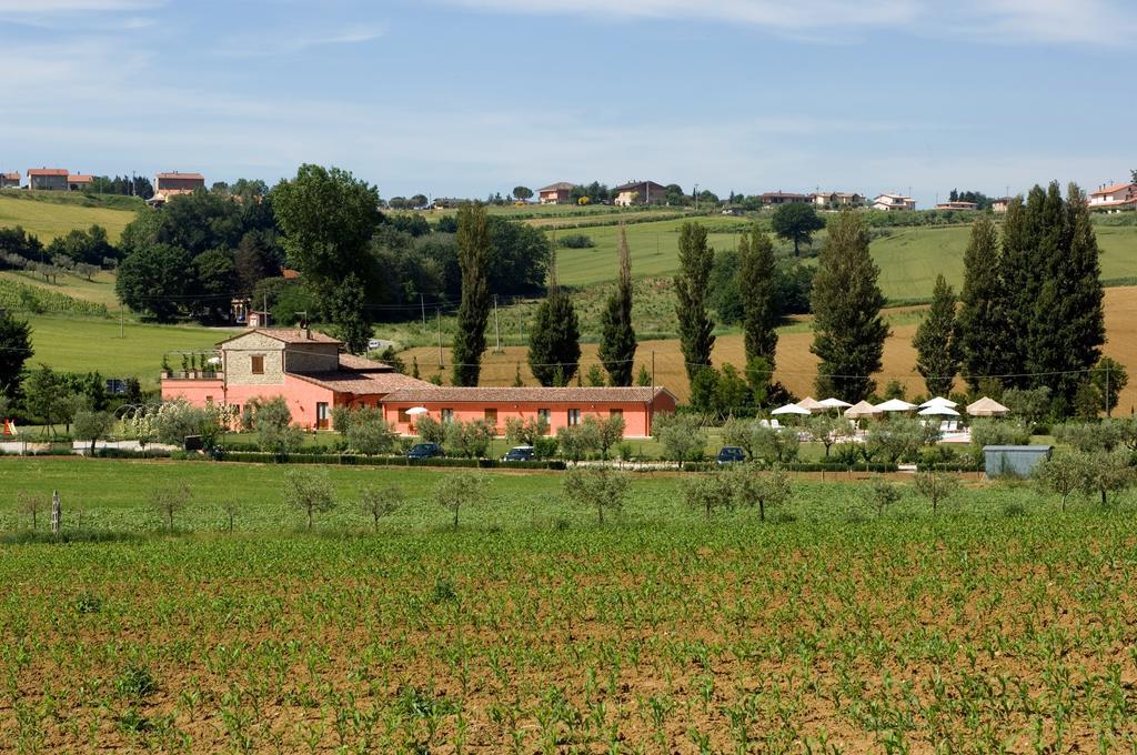 Agriturismo Casale Le Selvette Ripa Ngoại thất bức ảnh