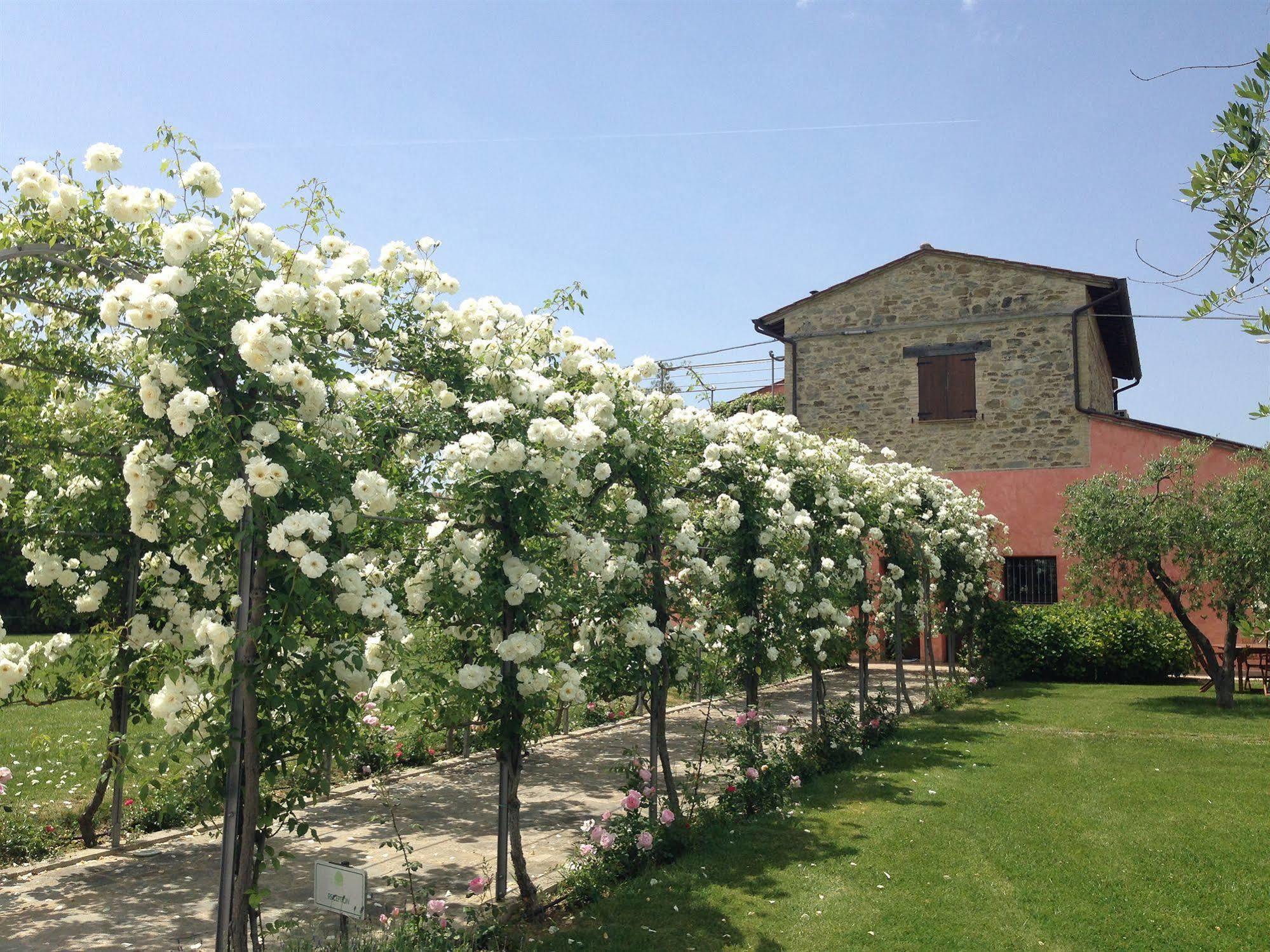Agriturismo Casale Le Selvette Ripa Ngoại thất bức ảnh